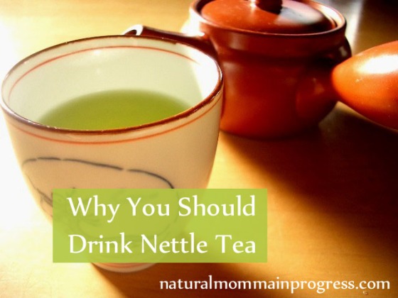 nettle tea